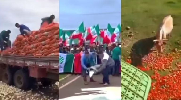 posts-que-sugerem-ligacao-entre-inflacao-e-descarte-de-alimentos-usam-videos-antigos