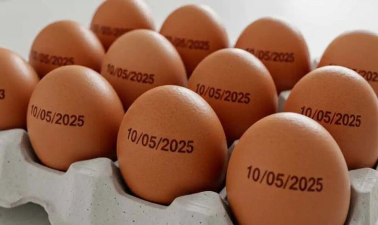 brasil-bate-recorde-de-exportacoes-de-ovo-e-frango-enquanto-o-preco-aumenta-para-os-brasileiros