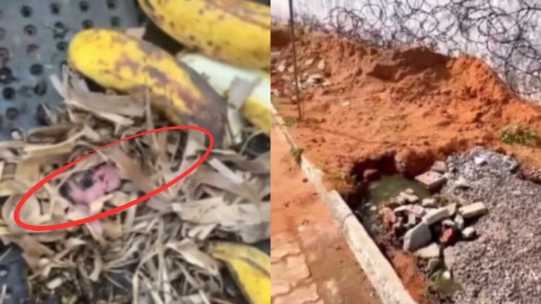 [video]-caos:-policiais-flagram-ninho-de-rato-em-meio-a-comida-do-presidio-de-alcacuz
