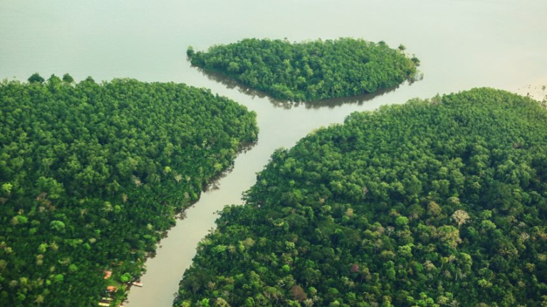 degradacao-da-amazonia-cresce-163%-em-2-anos