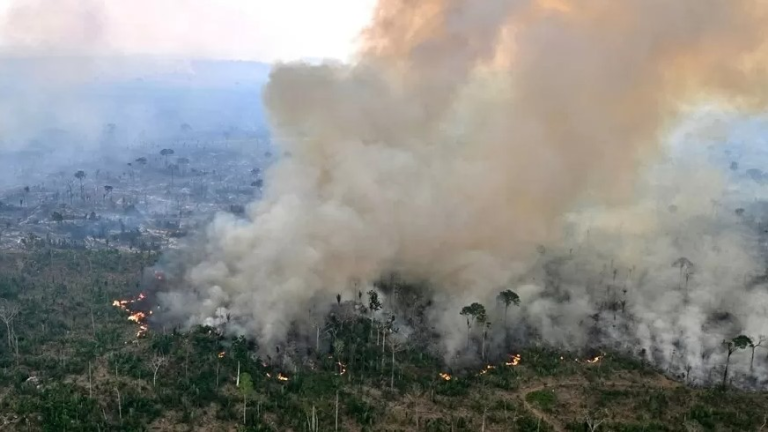 Fogo faz desmatamento na Amazônia em maio subir 92% em relação a 2024 fogo-faz-desmatamento-na-amazonia-em-maio-subir-92%-em-relacao-a-2024