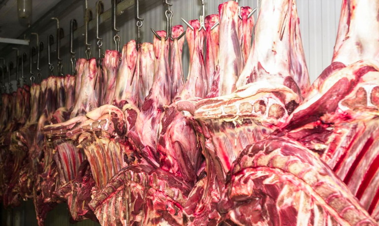 frigorificos-do-brasil-avaliam-suspender-exportacoes-de-carne-aos-eua