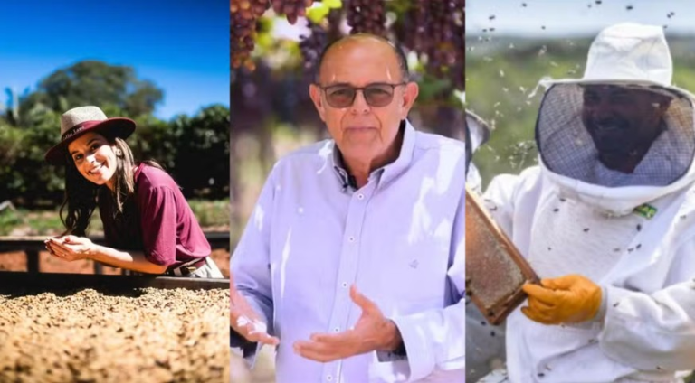 1 mês após tarifaço, produtores perdem clientes que levaram anos para conquistar nos EUA 1-mes-apos-tarifaco,-produtores-perdem-clientes-que-levaram-anos-para-conquistar-nos-eua