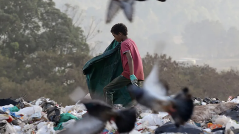 trabalho-infantil-volta-a-crescer-no-brasil-em-2024,-diz-ibge