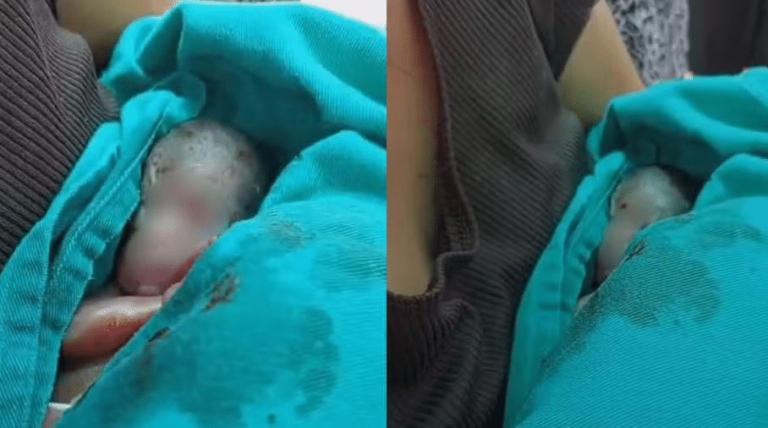 Bebê prematuro dado como morto é retirado do próprio velório com vida no Acre após família ouvir choro bebe-prematuro-dado-como-morto-e-retirado-do-proprio-velorio-com-vida-no-acre-apos-familia-ouvir-choro