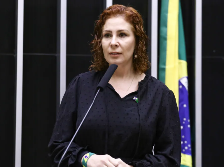 ccj-entra-em-compasso-de-espera-para-decidir-futuro-de-carla-zambelli