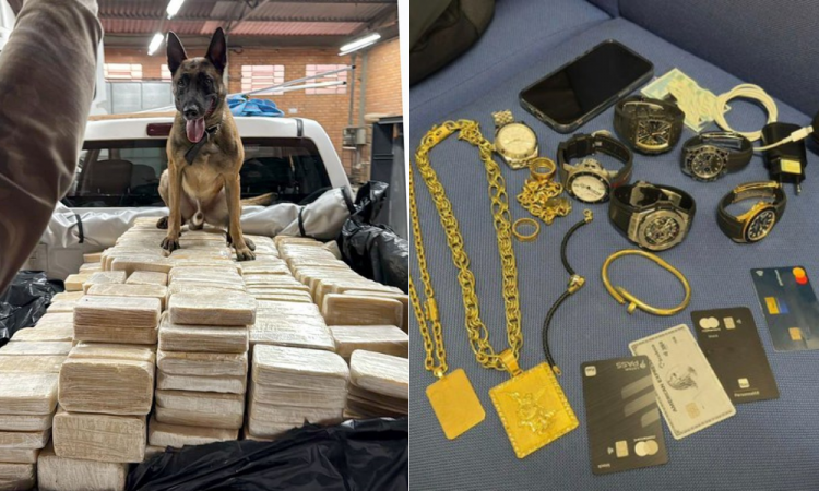 PF apreende mais de 600 kg de cocaína em Blumenau; dois são presos pf-apreende-mais-de-600-kg-de-cocaina-em-blumenau;-dois-sao-presos