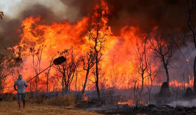 incendios-disparam-e-brasil-passa-de-10-mil-focos-em-apenas-4-meses