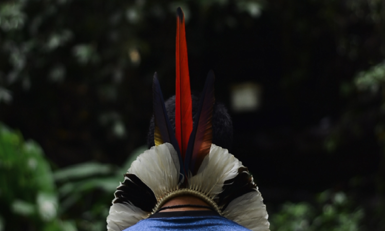 Senado aprova criação da primeira Universidade Federal Indígena do Brasil senado-aprova-criacao-da-primeira-universidade-federal-indigena-do-brasil